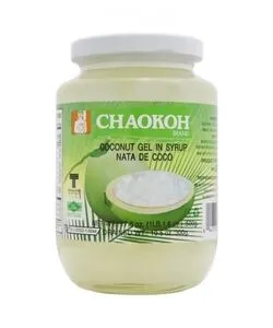 KOOKOSGEELI KUUTIOITA SIIRAPISSA.webp