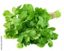 Coriander.webp