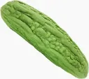 Bitter Melon.webp