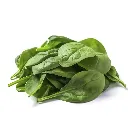 Spinach.webp