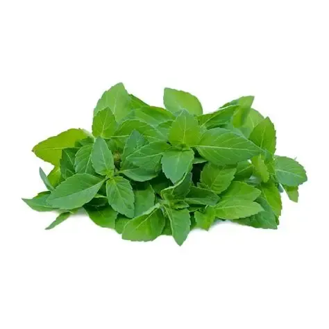 Thai Holy Basil 100g..webp