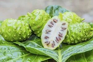 Thai Noni Fruit 100g..webp