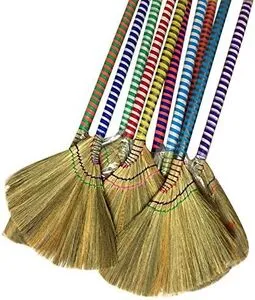 Vietnamese Broom.webp