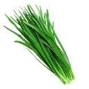 Chinese-chives-1-600x600.webp