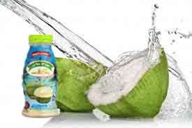 MAGIC FARM Coconut Juice With Nata De Coco 240ml.