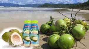 MAGIC FARM Coconut Juice With Nata De Coco 240ml.