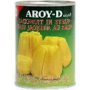 JAKKIPUUN HEDELMÄ SIIRAPISSA.webp