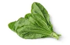 Amchoi