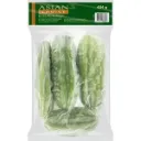 ASIAN CHOICE Bitter Melon (Whole) 454g.