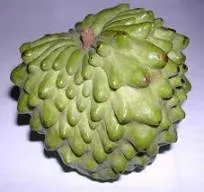 Atemoja