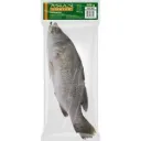 Barramundi 500-800 kg, 16,29 €/KG.