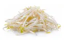 Bean Sprout 500g.