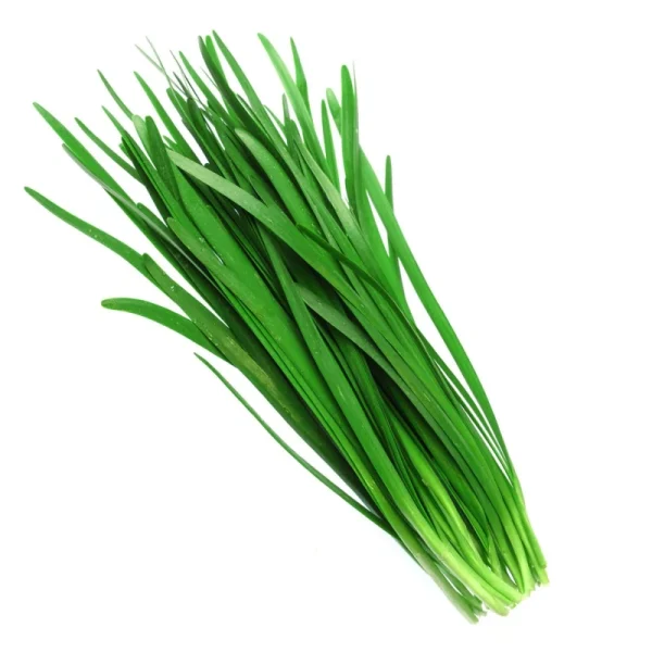 [2272] Chinese Chive 100g