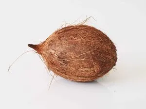 Kookostuore (kpl)
