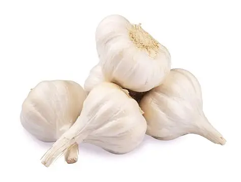 [1474] fresh garlic 100g.