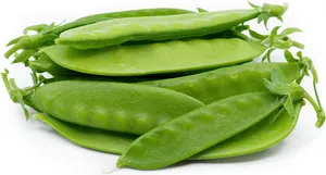 [1962] Garden Pea 100g.