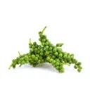 Green Pepper Corn 100g.