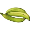 Grön plantain 1 kg (3,95 €/kg)