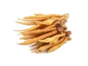 Kaempfer 100g. กระชาย