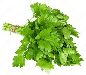 Parsley