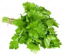 Parsley