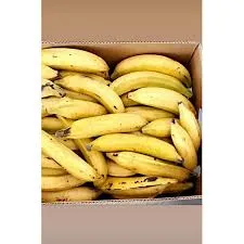 [991] Plantain