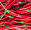 Röd chili