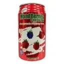 RICO Berries Black tea With Pomegranate Pop 340ml.