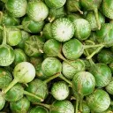 Pyöreä munakoiso 100 g.