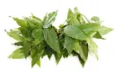 Sack tree leaf 100g.