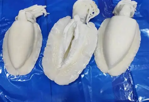 Sepia Cuttlefish Clean 1/2 IVP 16,89/KG.