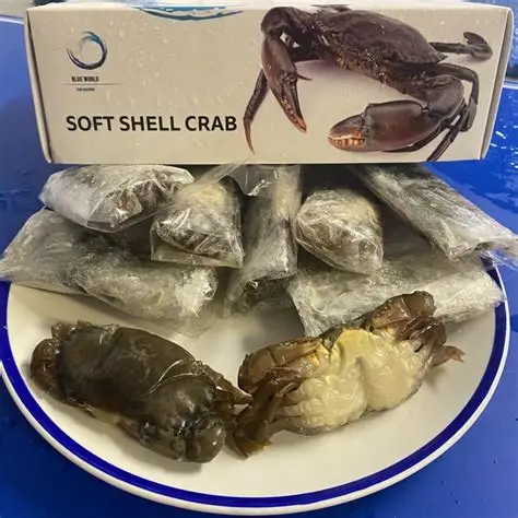[1532] Softshell Crab 9pcs 1Kg.