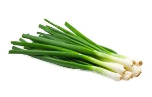 [1965] Spring Onion