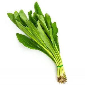 Haiseva 100g. ผักชีใบเลื่อย