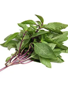 Sweet Basil 100g. โหระพา