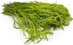 Thai akacia 100g. ชะอม