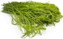 Thai akaasia 100 g. ชะอม