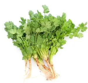 [461] Thai Coriander 100g. ผักชีไทย