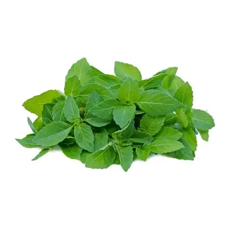 [879] Thai Holy Basil 100g.