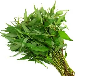 [464] Vietnamilainen korianteri 100 g.