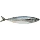 WESTCOAST mackerel W/R 500+ 8,99€/KG.