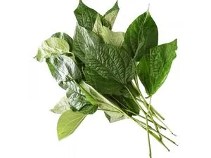 Vildbetelbladbuske 100 g.