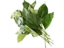Wildbetel Leaf Bush 100g.