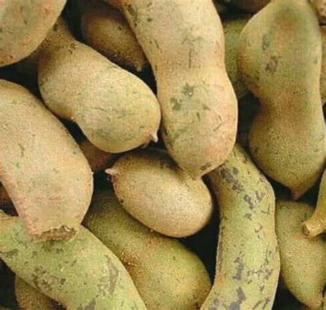 Nuori tamarind 100 g.